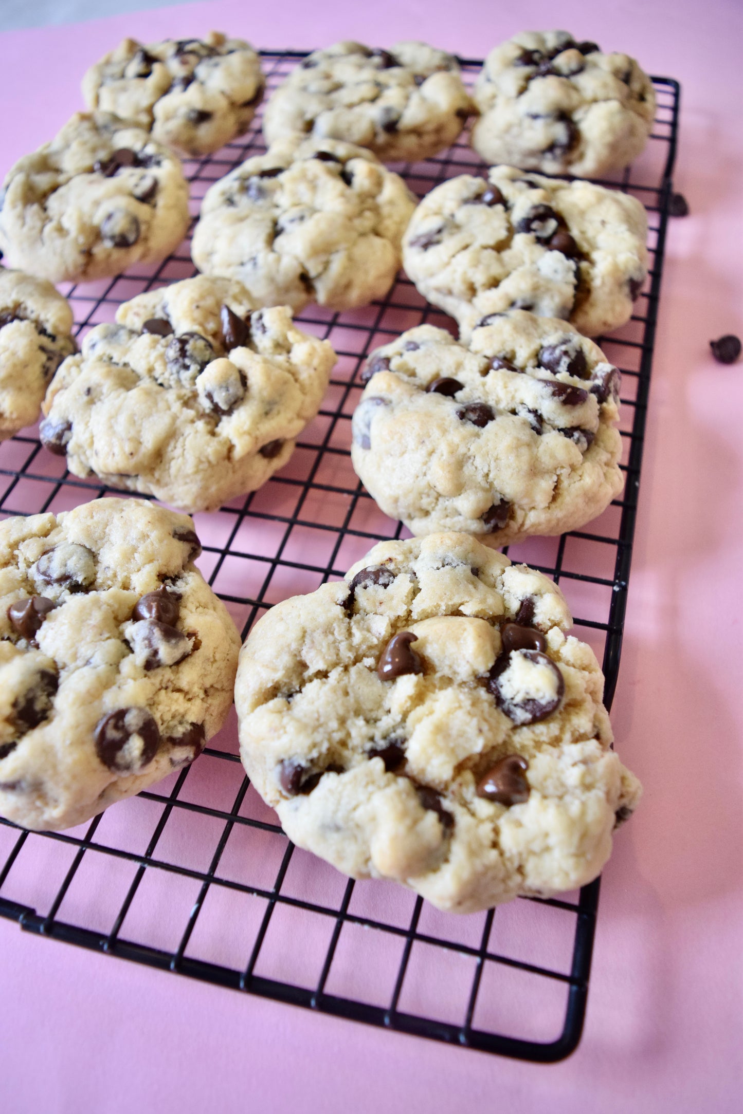 Chocolate Chip - dozen